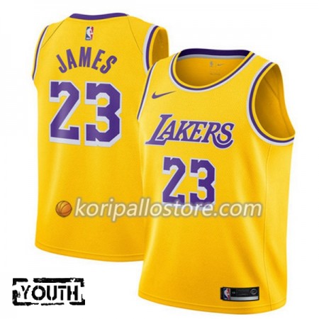 Los Angeles Lakers Lebron James 23 2018-19 Nike Harmaa Lasten Pelipaidat Swingman